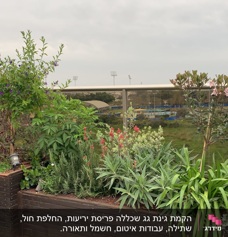 עציצים עם צמחים ופרחים על מרפסת